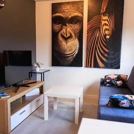 Apartment Czarny Potok
